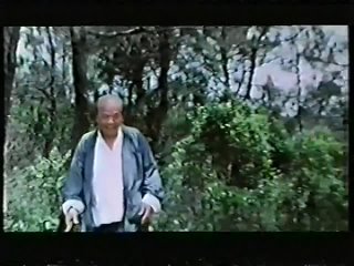 video брюс король кунг фу bruce king of kung fu брюс ле боло янг 1980 vhsrip перевод avo с немецкого sex