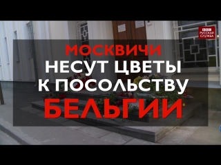 video москвичи приносят цветы к посольству бельгии в память о жертвах теракта в брюсселе sex