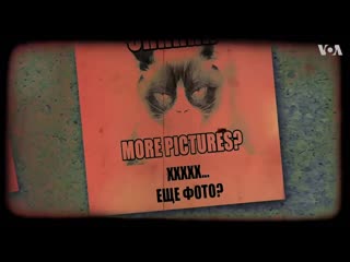 video молодые сердитая кошка grumpy cat sex