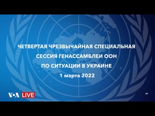 video live четвертая чрезвычайная специальная сессия генеральной ассамблеи оон по ситуации вокруг украины sex
