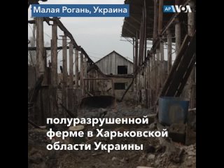 video украинская ферма возвращается к работе после освобождения sex