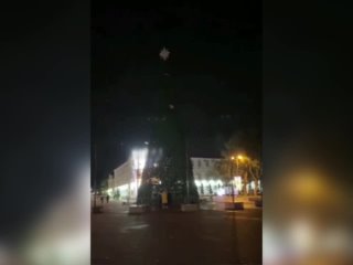 video пока в домах на ёлки пытаются забраться коты в геленджике на городскую ёлку залезла алкогеленджичанка sex