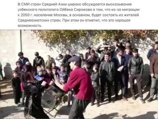 video среднеазиатские самоубийцы искренне радуются что везде устроят кишлак в своих кишлакстанах утрахались до того что sex