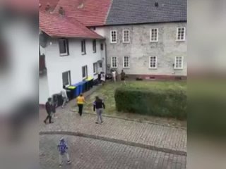 video пока немецкие политики облизывают унитазы на вокзалах неогерманцы веселятся нюрнберг бавария германия sex