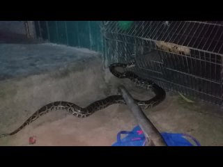 video анонимный чат знакомства eeper bultos apanhados peterita scheer calcinhazl usando tanguinha bege limasp granda sex