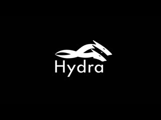 video hydra конференция по распределенным системам sex