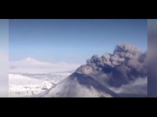video bagets screen recording 20211115 090701 yandex 1 mp4 sex