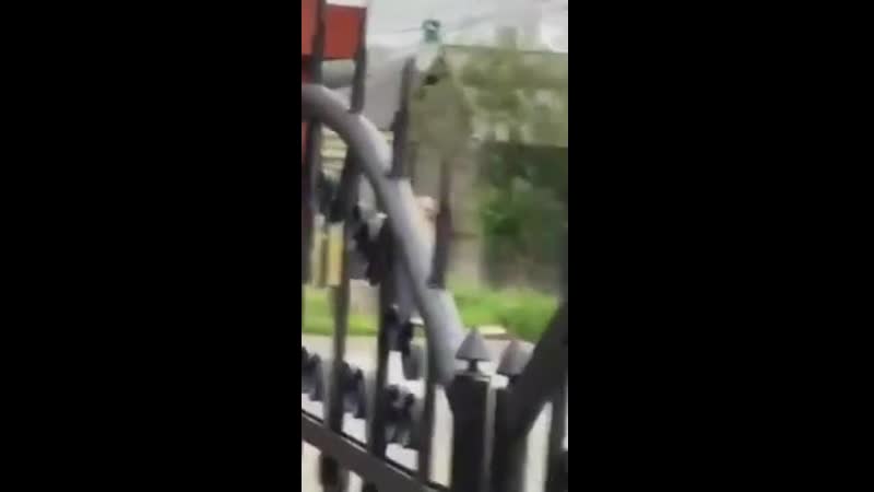 video в салехарде пара занялась сексом возле памятника sex