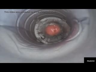 video порноприкол паук выебал тёлку и кончил внутрь porn funny spider porn milf vintage retro sex crempie cum inside sex