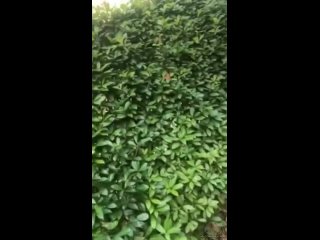 video спрятанное сокровище самые горячиe девочки порно секс минет сиськи жопа молодая дрочит пизду sex