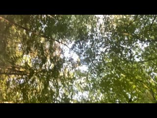 video 19 мой парень изменил мне и теперь я показываю свою задницу на reddit наслаждайтесь самые горячиe девочки порно sex