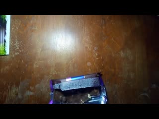 video обзор молочной шоколадки миллениум с цельным орехами сушоной клюквой и изюмом sex