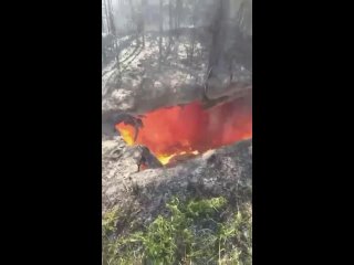 video неисправность старого автомобиля привела к пожару на дачном участке sex