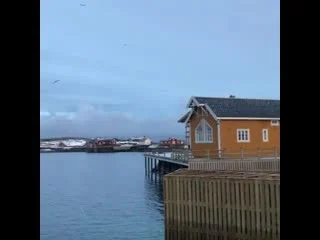video my job in lofoten started with a lovely fish soup for lunch in sakrisøy sex