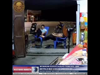 video мужикам колоссально повезло два метра и мог снести именно их mp4 sex