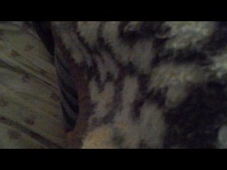 video открыла для обозрения своё счастливое от лакомства лицо домаха hd sex