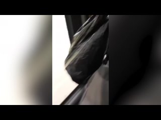 video монетка выпала в дзержинске кондуктор высадила 18 летнюю девочку из автобуса из за 5 рублей sex