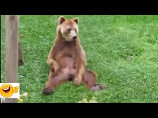video видео продлит вам жизнь приколы с молодые ноябрь 2016 2 sex