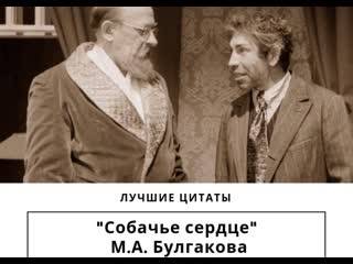 video собачие сердце шедевральные высказывания профессора преображенского sex