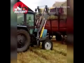video чеченцы угрожают молодые фермеру поймавшего их на краже sex