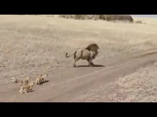 video when mum is busy and dad is babysitting sex