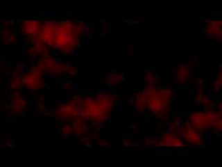 video xhamster com 14526834 keptsecret le rompe el culo a daniel hausser bareback 240p mp4 sex