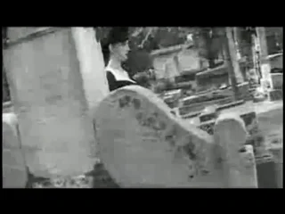 video dita von teese at the tomb of victor noir sex