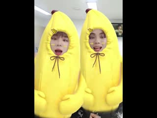 video ace data 아아아아아아아아아아앙 귀여워 ace 에이스 choice 초이스 sex
