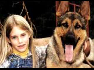 video девочка и волк mein freund der wolf 1999 германия драма молодые в кино режиссёр сусанна цанке sex