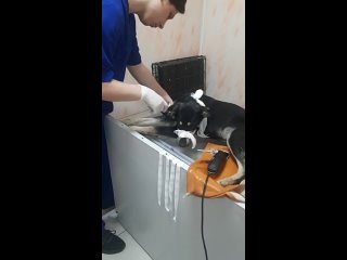video видео от подари жизнь бездомным молодые волгограда sex