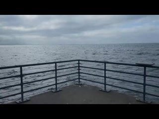 video титанический секрет острова джекил у побережья шт джорджия robert sepehr the titanic secret of jekyll island 2022 sex