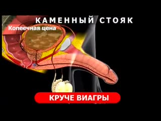 video железная потенция может быть в любом возрасте standup gel лучшее натуральное средство sex