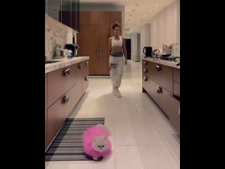 video танцующая на кухне 47 летняя кэит бекинсэил sex