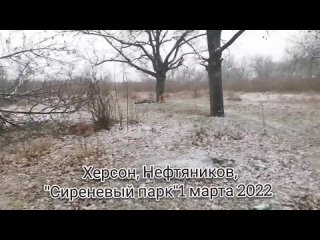video очень жёсткое видео из херсона где тероборона попыталась устроить засаду на российскую колонну sex