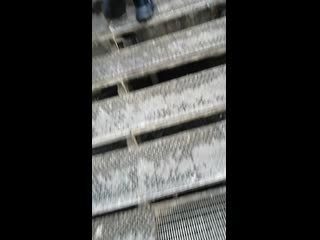 video sunny storageemulated0dcimcameravid 20200107 093155 mp4 sex