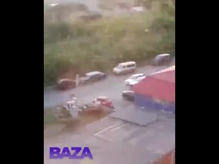 video красноярск заполонили полчища насекомых sex