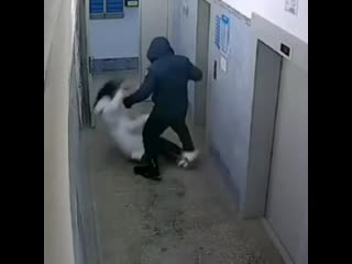 video в красноярске мужик заскочил вместе с девушкой в подъезд кинул её на пол и стал избивать sex