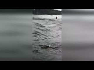 video в башкирии мужчина спас девочку из воды куда ее смыло мощным паводком sex