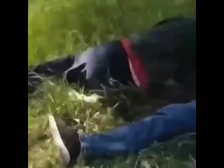 video два типа из кабардино балкарии по сообщению источника ради развлечения sex