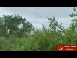 video ничего необычного просто ежегодный наплыв комаров на камчатке листайте дальше sex