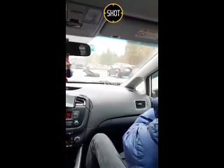 video раненый лось упал посреди столичного шоссе и не смог самостоятельно встать sex