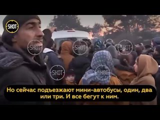 video военные пытаются усмирить мигрантов дерущихся на границе возле автобуса sex