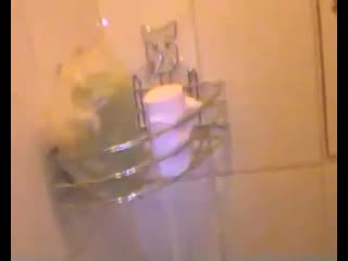 video злой дед сидит в туалете он срёт говном говно и потом он подрочил но не на камеру он дрочил sex