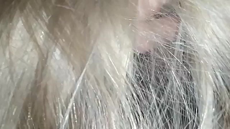 video прежде чем её трахнут яна всегда делает отсос sex