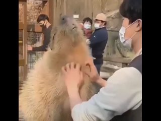 video о да очень хорошо продолжай sex
