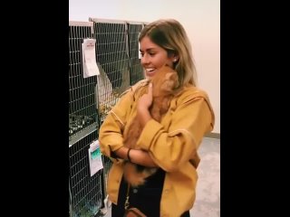 video уличная кошка выбрала себе хозяйку и девушка не смогла устоять sex