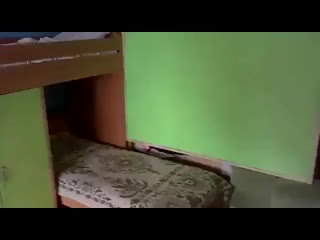 video сбор секс гей танкистов в хорошем качестве без смс и регистрации sex
