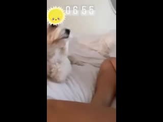 video настя каменских на мгновенье засветилась без трусиков sex
