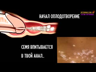 video shemale sissy maker sissy maker sissyboy shemale school гипноз и мотивация для сисси на русском 6 sex