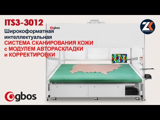 video автоматическая система сканирования натуральной кожи с модулем автоматической раскладки деталей кроя в периметр sex